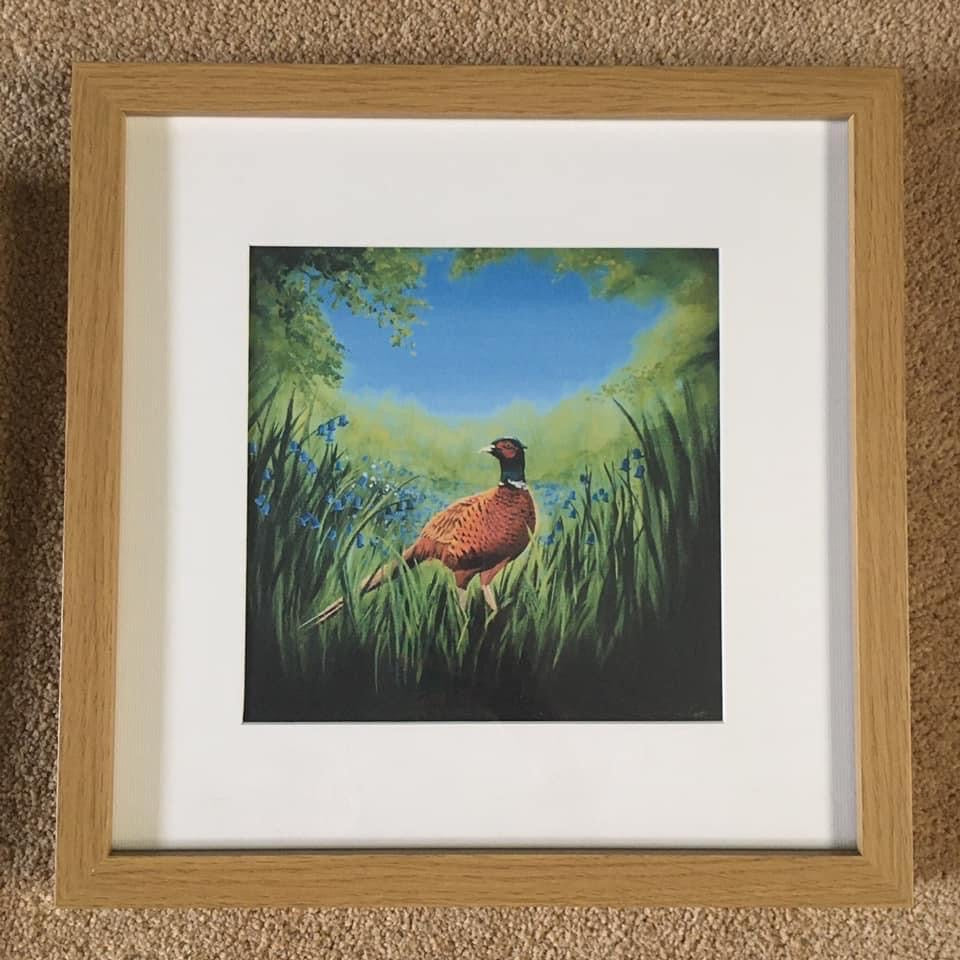 Pheasant - Framed Print