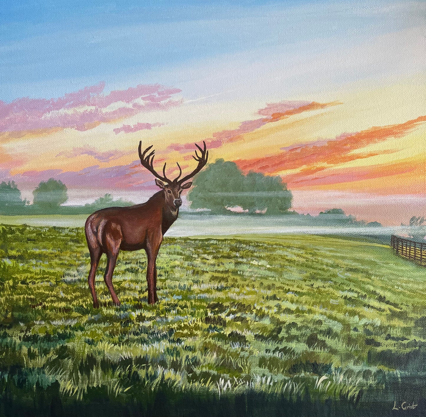 Stag at Sunrise: Greetings card