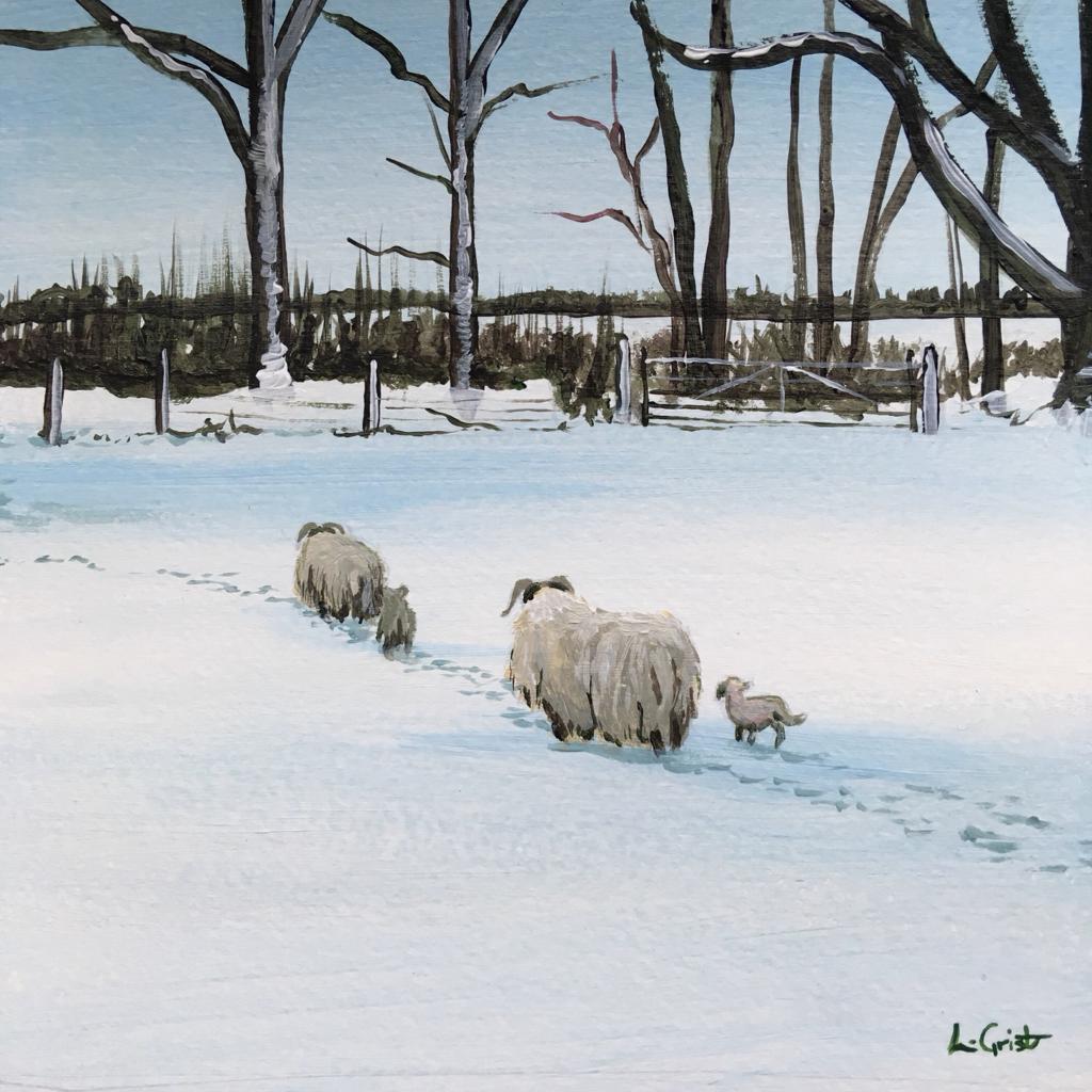 Ewes & Lambs Christmas Card