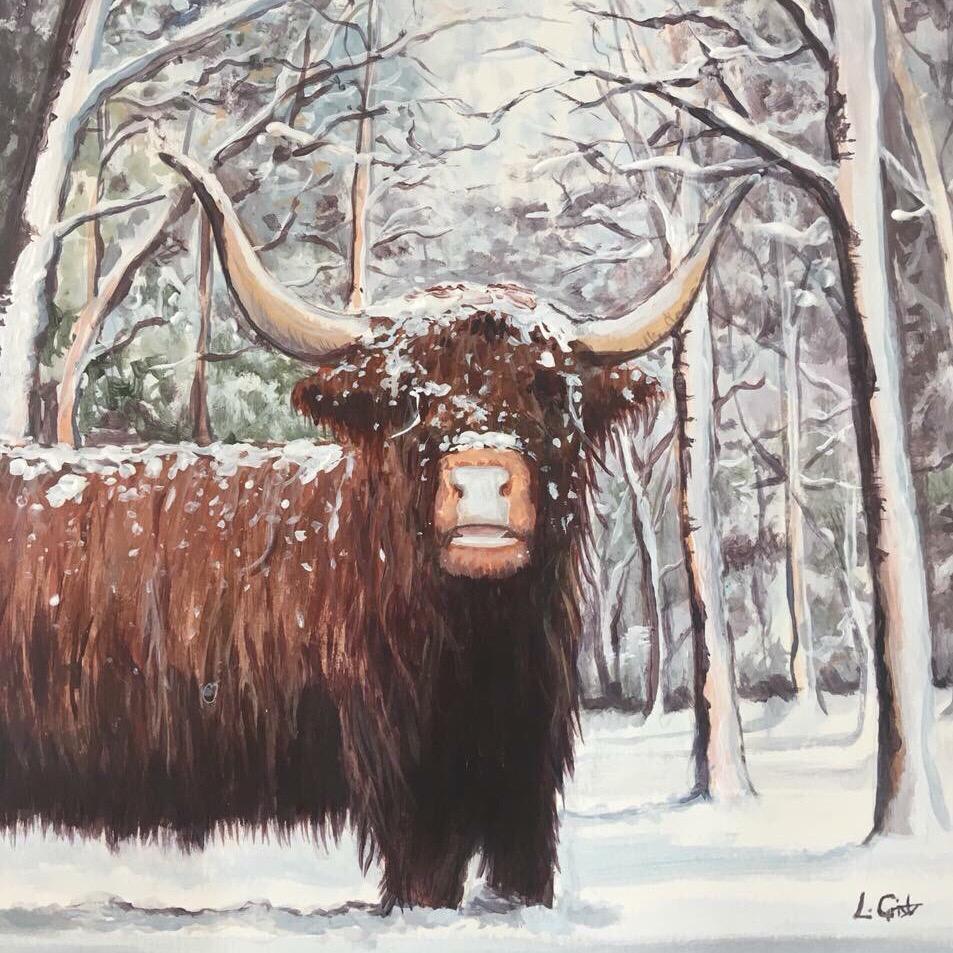 Highland Cow Christmas Card