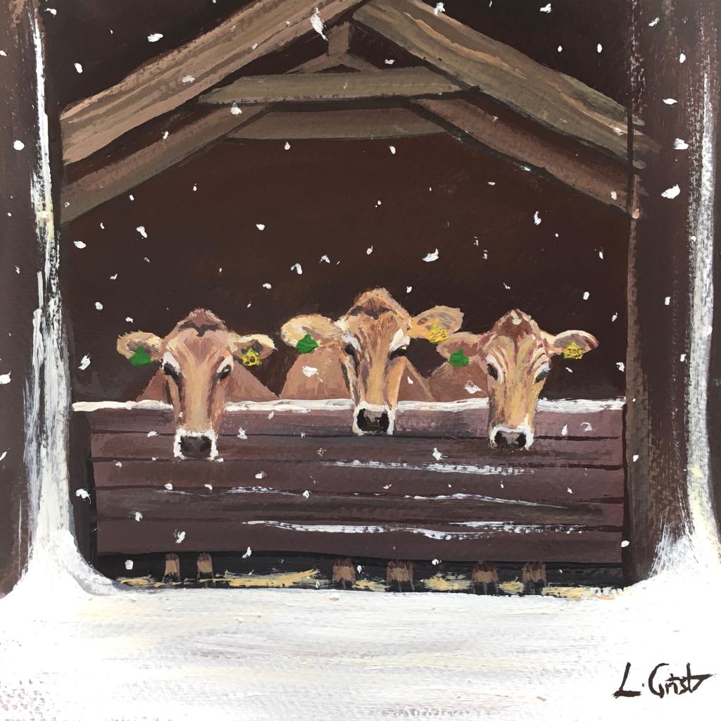 'We Three Jerseys' Christmas Card