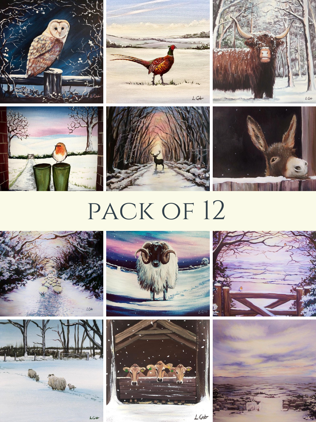 Pack of 12 Christmas Cards